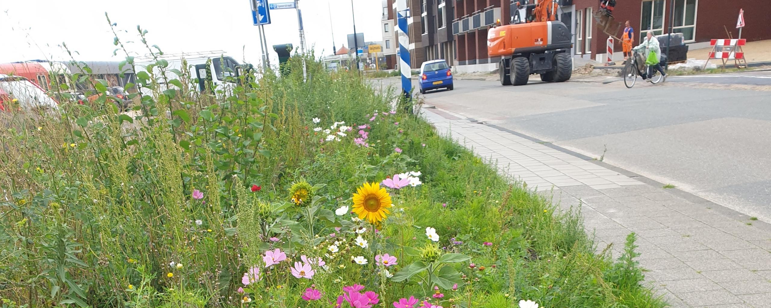 zicht op groenstrook langs Spoorstraat
