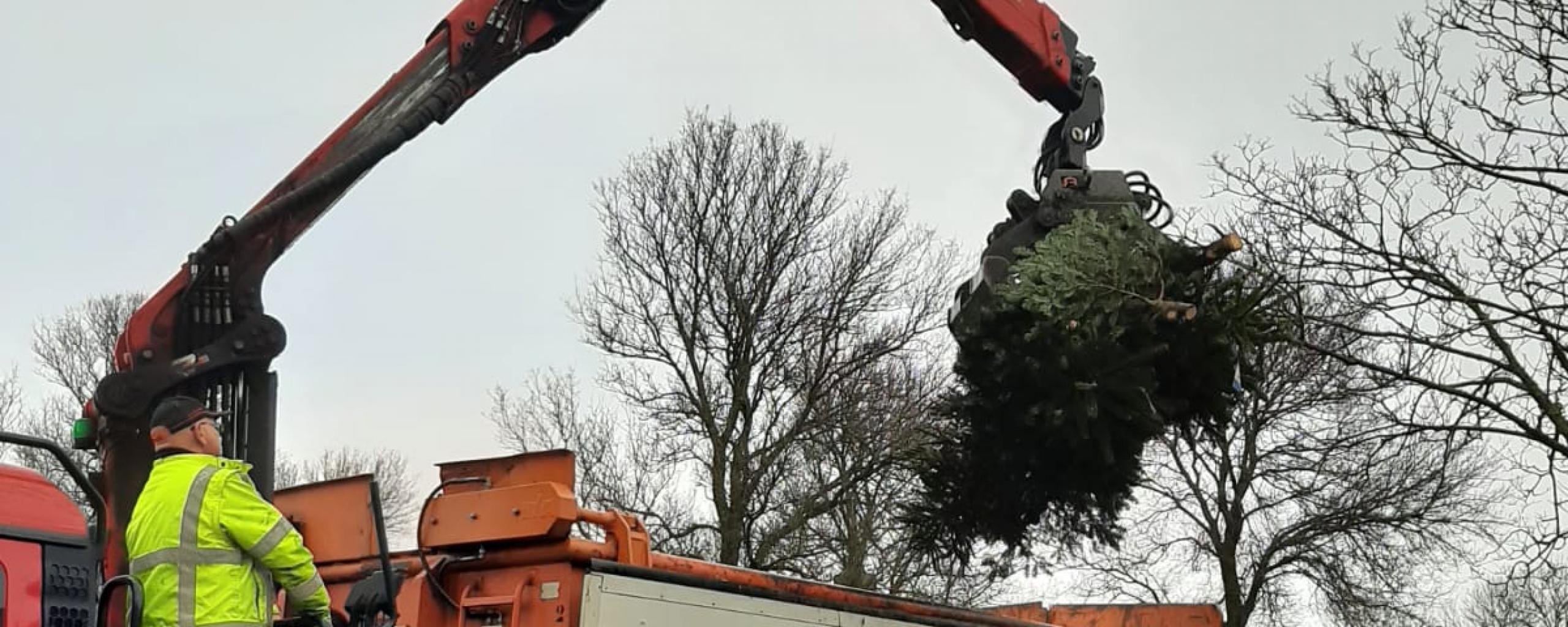 gemeente haalt kerstbomen op