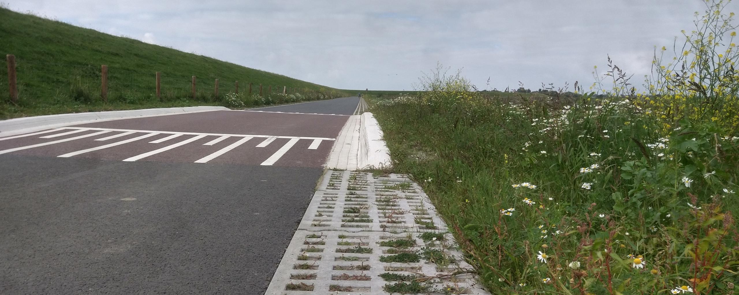 Voorbeeld nieuwe inrichting Winamerdyk